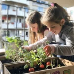 פעילות לילדים